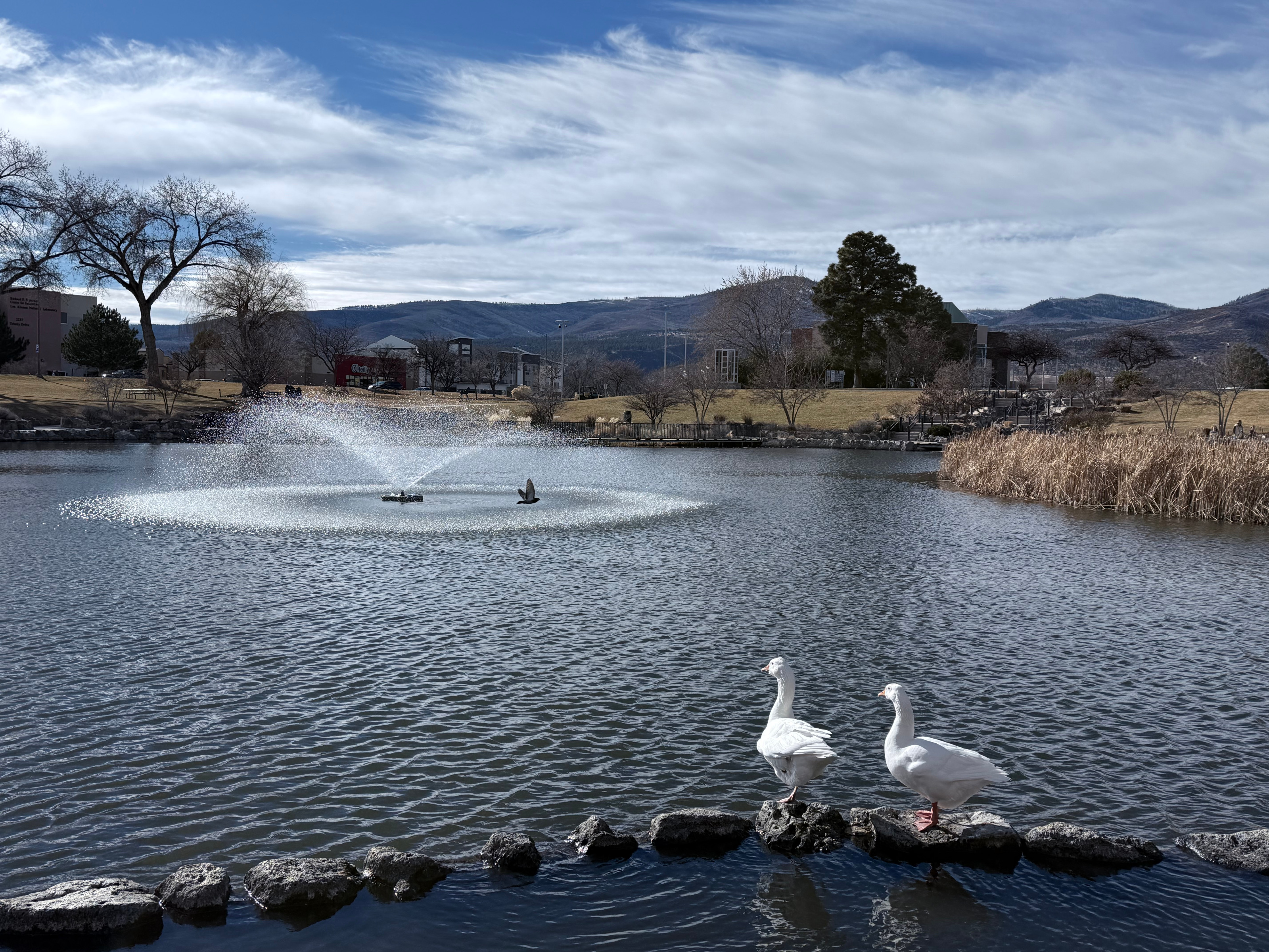 2月なのに初夏並の気温